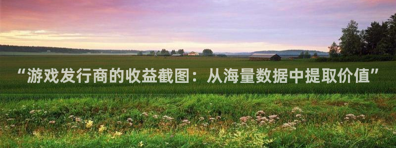 新宝GG主管：“游戏发行商的收益截图：从海量数据中提取价值”