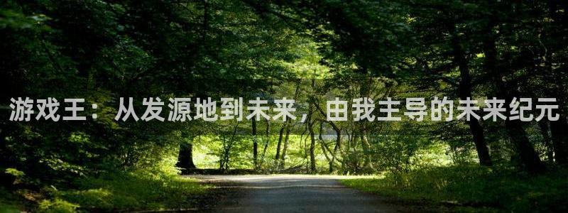 新宝GG官网注册方法是什么软件：游戏王：从发源地到未来，由我主导的未来纪元