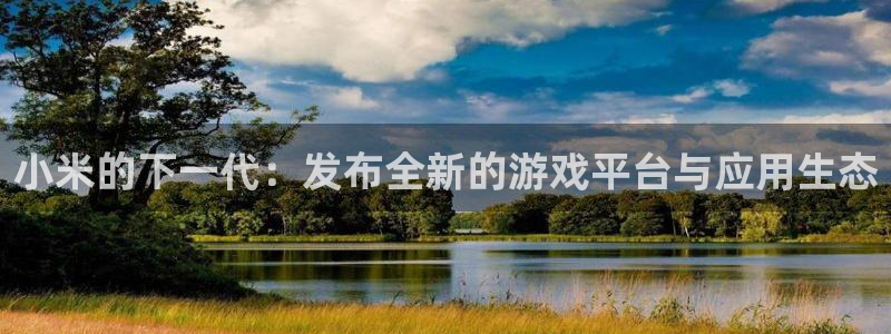 新宝GG官网注册平台是什么软件：小米的下一代：发布全新的游戏平台与应用生态