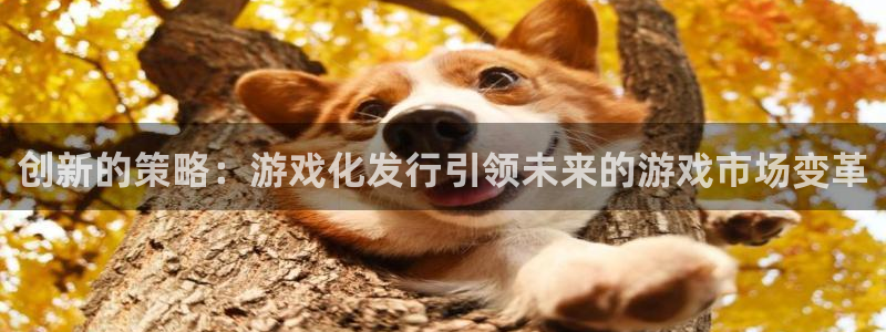 新宝GG子怎么样