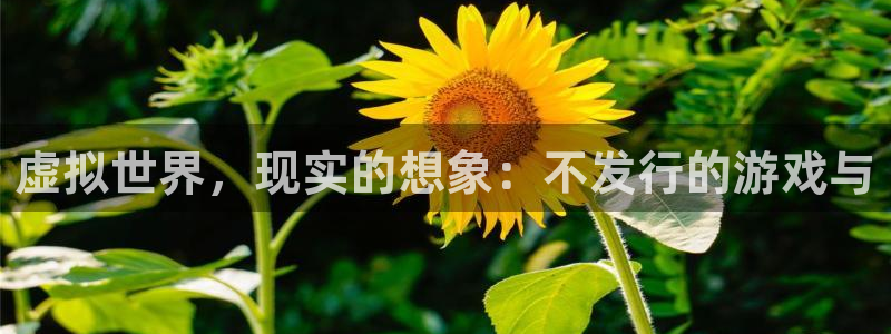 新宝GG子财经出版中心：虚拟世界，现实的想象：不发行的游戏与
