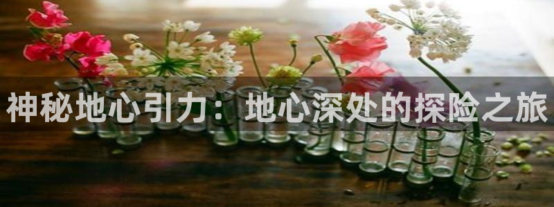 新宝GG官网注册平台怎么注册的：神秘地心引力：地心深处的探险之旅