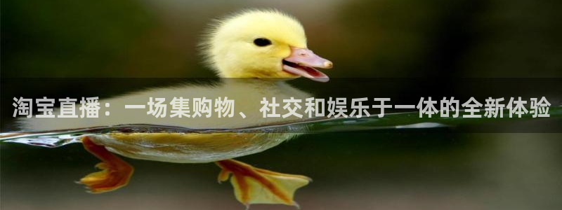 乐球app官方下载：淘宝直播：一场集购物、社交和娱乐于一体的全新体验