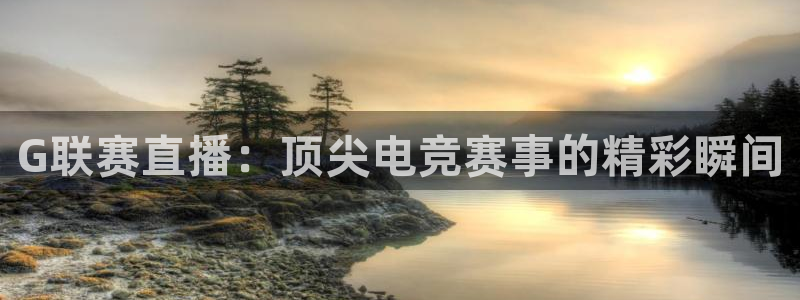 乐球直播观看：G联赛直播：顶尖电竞赛事的精彩瞬间