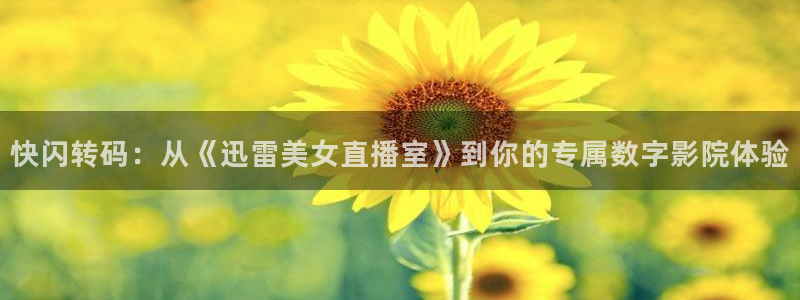 乐球直播高清版：快闪转码：从《迅雷美女直播室》到你的专属数字影院体验