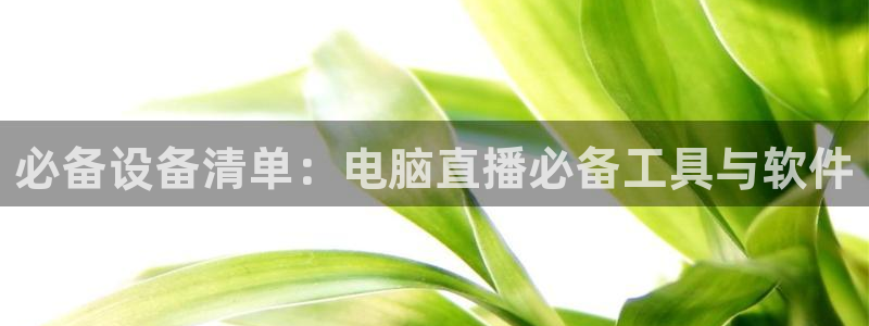 乐球直播即时直播：必备设备清单：电脑直播必备工具与软件