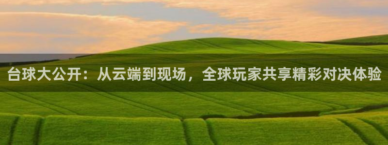 足球直播乐球：台球大公开：从云端到现场，全球玩家共享精彩对决体验