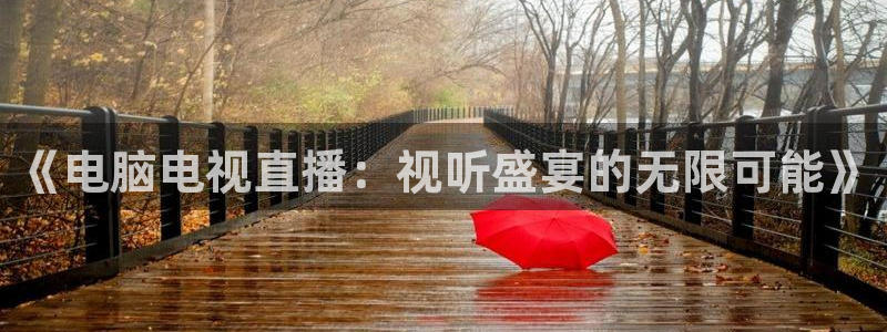 乐球nba直播免费直播：《电脑电视直播：视听盛宴的无限可能》