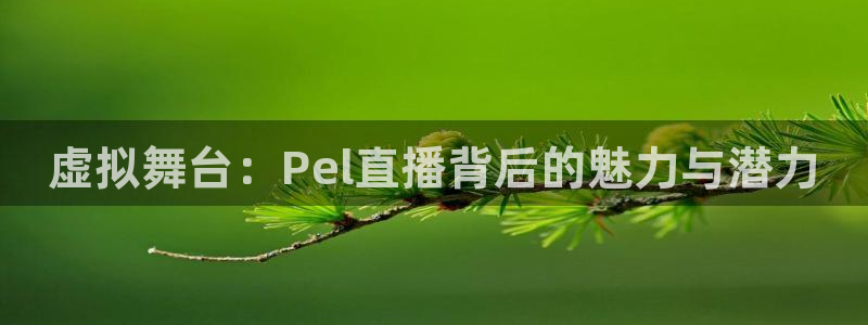 乐球直播今日nba免费高清直播：虚拟舞台：Pel直播背后的魅力与潜力